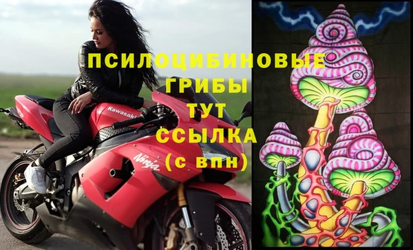 PSILOCYBIN Белокуриха